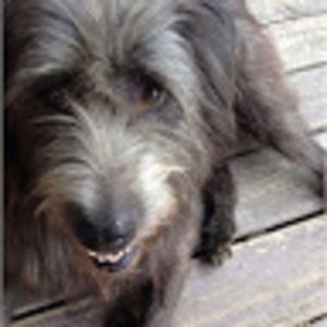 Meet your Posher, Lloyd